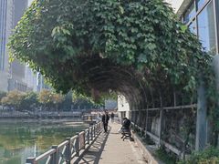 -喷泉公园