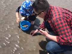 -南汇嘴观海公园