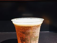 -哈利波特魔法世界