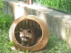 -青藏高原野生动物园