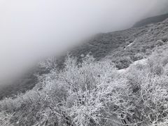 -太子岭滑雪场