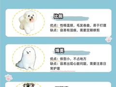 -翊宠yipet猫狗购宠庄园犬舍•猫舍