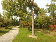 -东园小馆·早茶·淮扬小炒(宋夹城店)