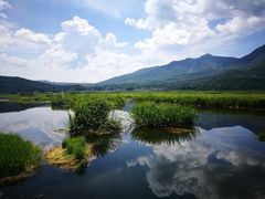 -腾冲北海湿地
