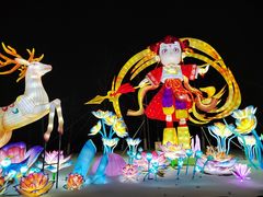 -武汉园博园(武汉自然博物馆)