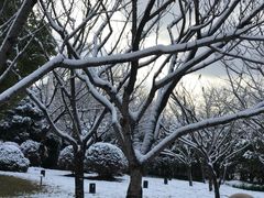 -苏州河梦清园环保主题公园