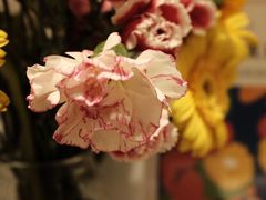-Manner Coffee(K11店)