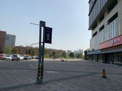 -九科绿洲