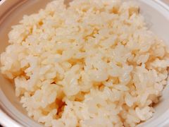 米饭-肉串汪(月坛店)