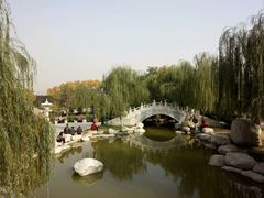 -西安乐游原
