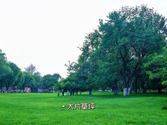-御林古桑园