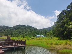 -海南热带雨林国家公园吊罗山景区