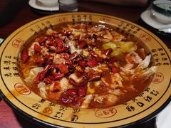 -邵年鸽(杨庄店)