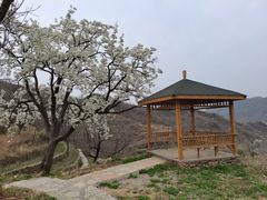-水峪民俗村
