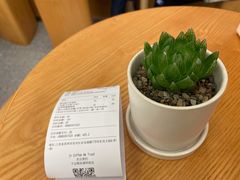 -代数学家algebraist(东吴龙湖天街店)