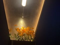 -鸿韵养生(白玉兰店)