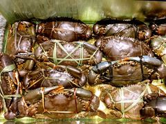 -Isla Sugbu Seafood City