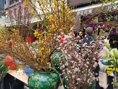 -溪岸路花鸟市场