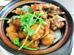 石斑鱼煲-戏台船坞海鲜排档