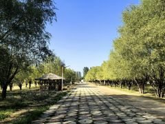 -黄沙古渡原生态旅游区