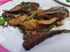 姜葱马鲛鱼-电白鸭粥店(下沙二坊88号店)