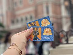 -上海迪士尼度假区