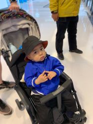 -萌宠亲子动物乐园(槐房万达店)