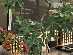 -沼津港精致料理·寿喜烧·烧鸟(龙湖南桥天街日料榜单店)