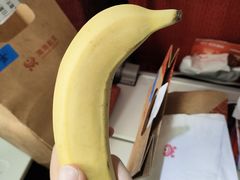 -海南海航航空信息系统公司