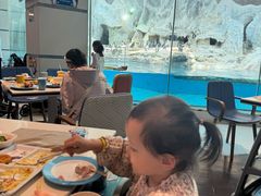 -帝企鹅自助餐厅•儿童岛•真企鹅(长隆企鹅酒店)