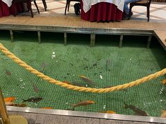 -金河半岛园林酒家(金融城店)