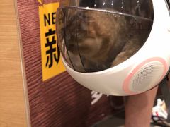 -纳吉亚猫专科动物诊疗中心(蒋宅口分院)