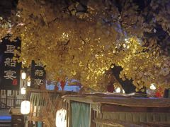 -淀里船宴(裕华东路店)