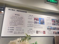 -丽尔美睫