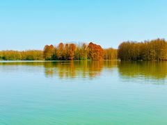-上海海湾国家森林公园