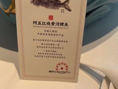 -阿五黄河大鲤鱼(英协路店)