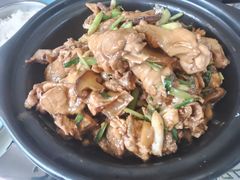 现杀果园鸡—黄焖鸡-生态苑农庄(十里画廊遇龙河店)