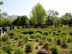 -迎泽公园