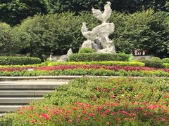 -金鸡山公园