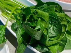 -海底捞火锅(珠影星光城夜宵主题店)