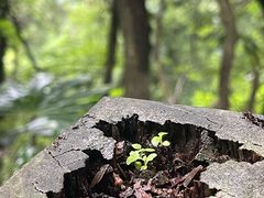 -册子岛月亮湾景区