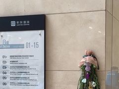 -世东国际
