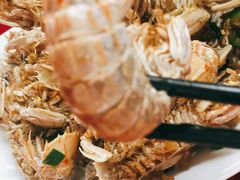 -蛇口康乐快餐鱼仔档(翠苑小区店)