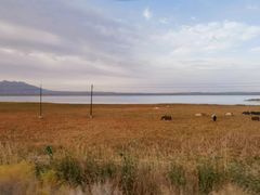 -青海湖国家重点风景名胜区