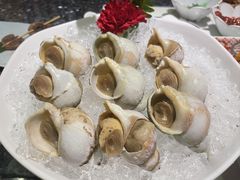 -广东嘉华大酒店·季花铁板烧餐厅