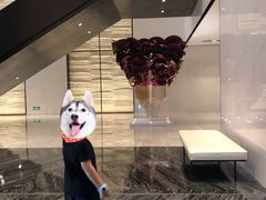 -长沙尼依格罗酒店