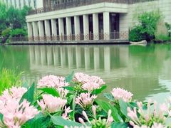 -羊山湖公园