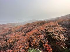-周口店坡峰岭风景区