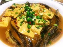 -全乐鱼馆·淳牌有机鱼直营店