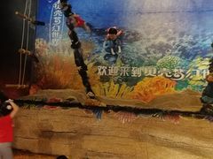 -贝壳梦幻世界